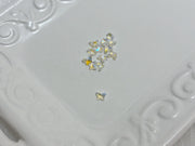 ミニオーロラパピヨン