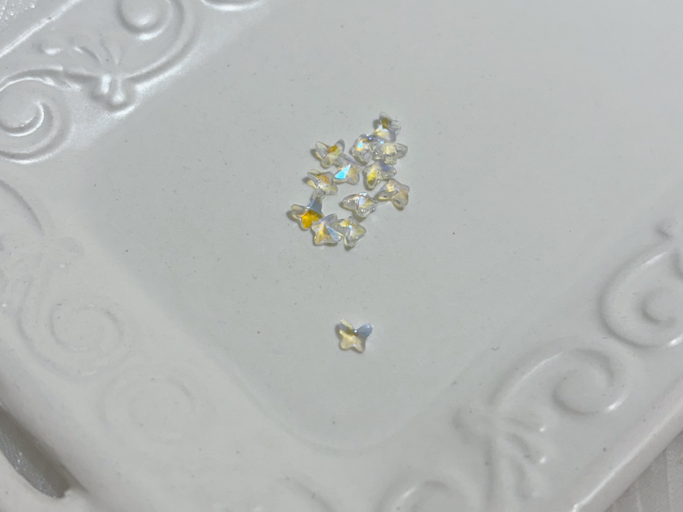 ミニオーロラパピヨン