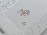 オーロラパピヨン