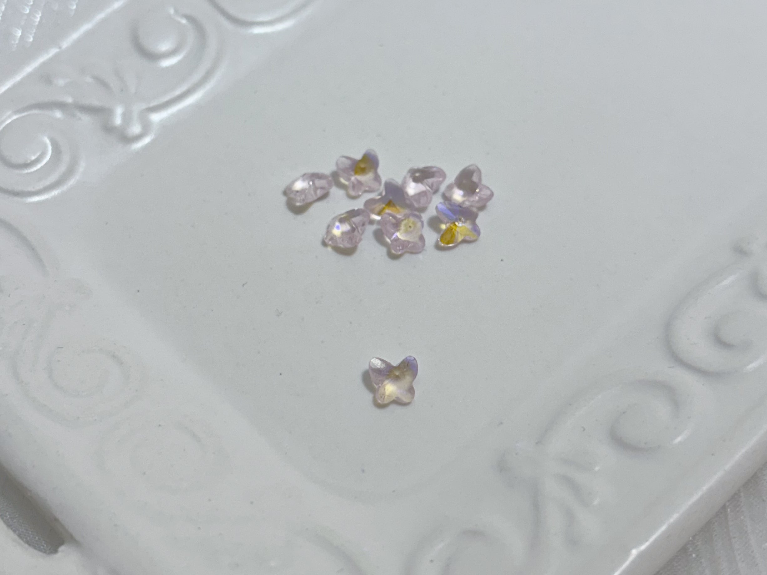 オーロラパピヨン