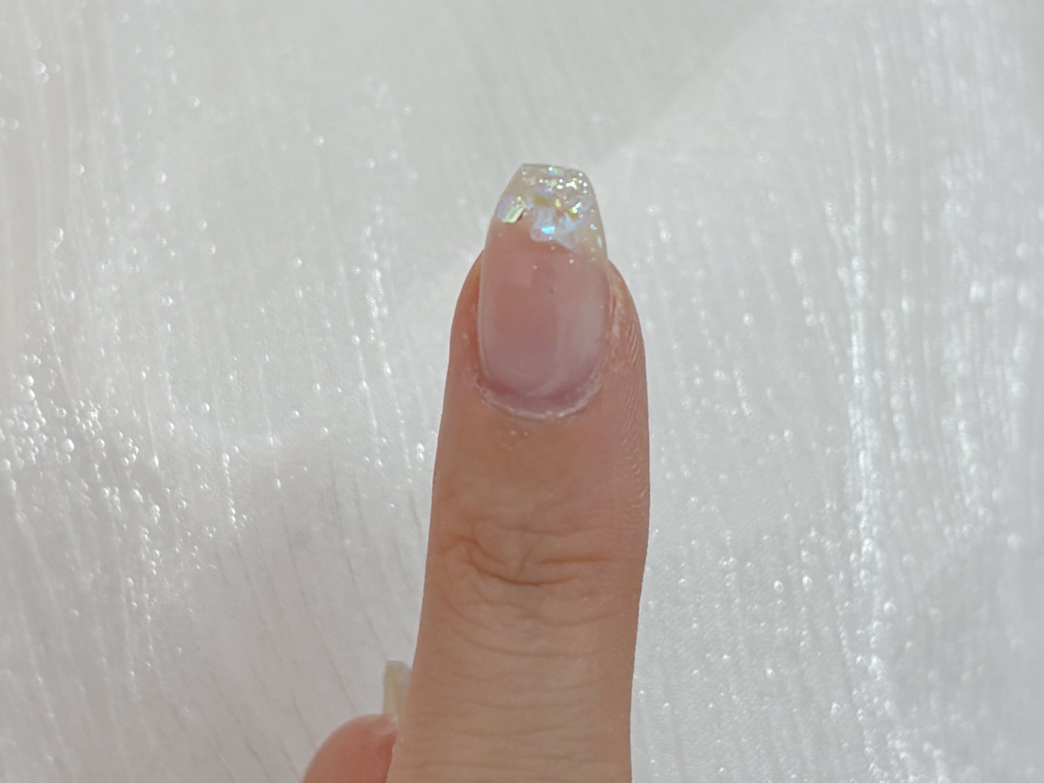 ミニオーロラパピヨン