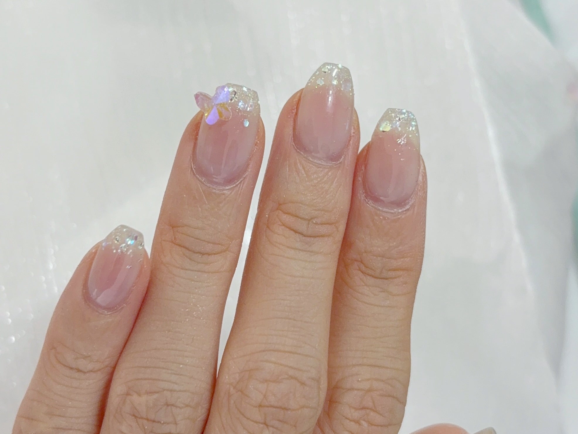 オーロラパピヨン