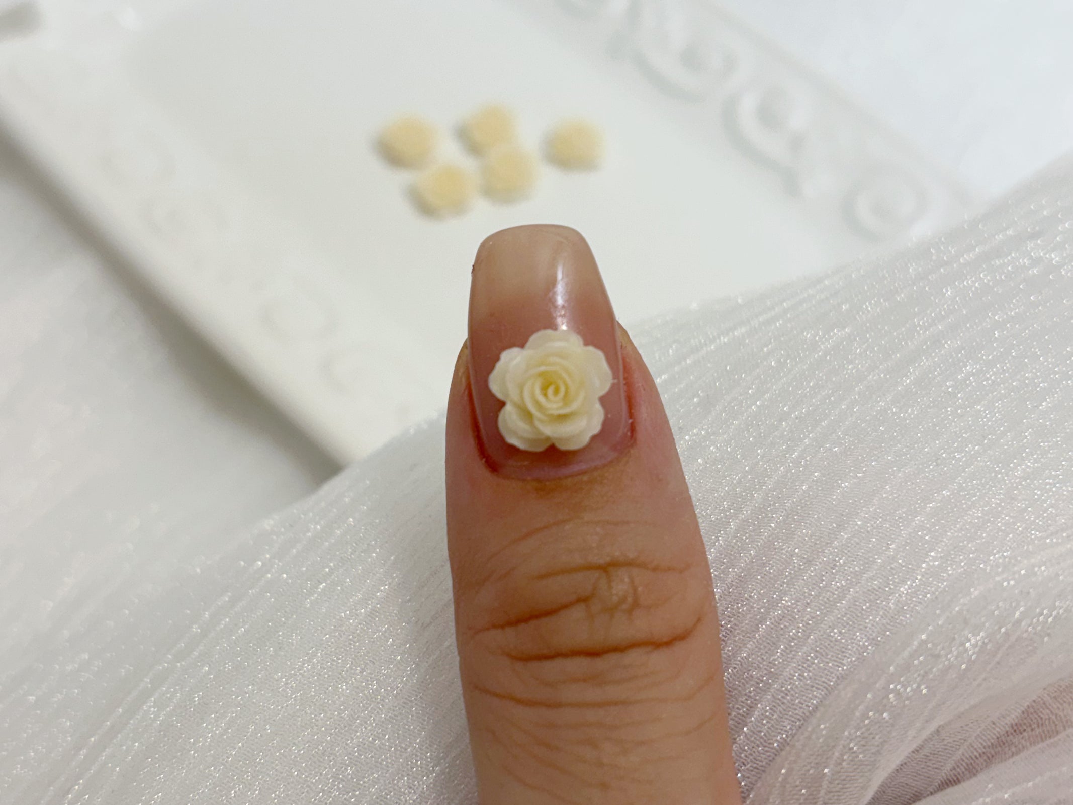 バターイエローローズ