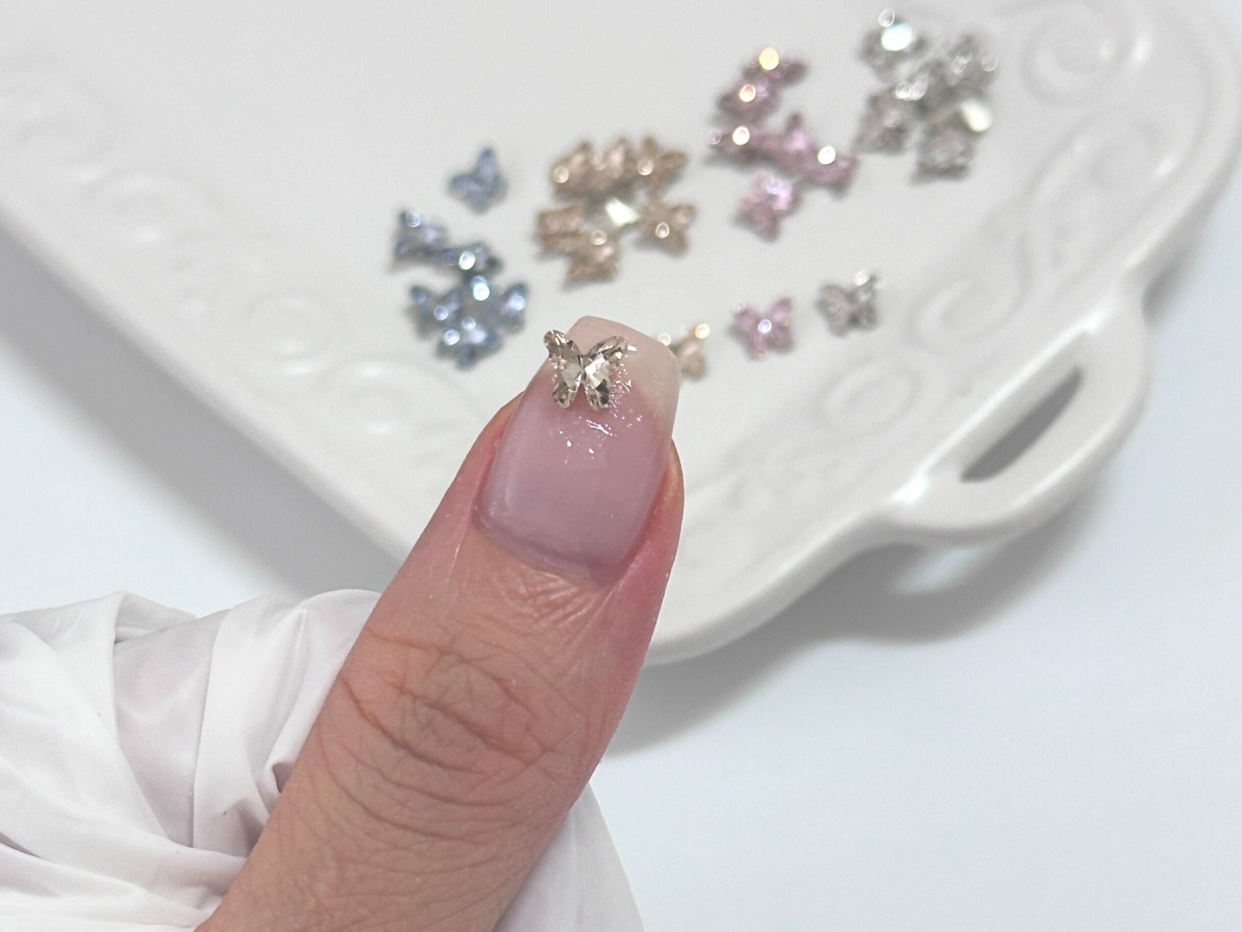 ミニスパークルパピヨン