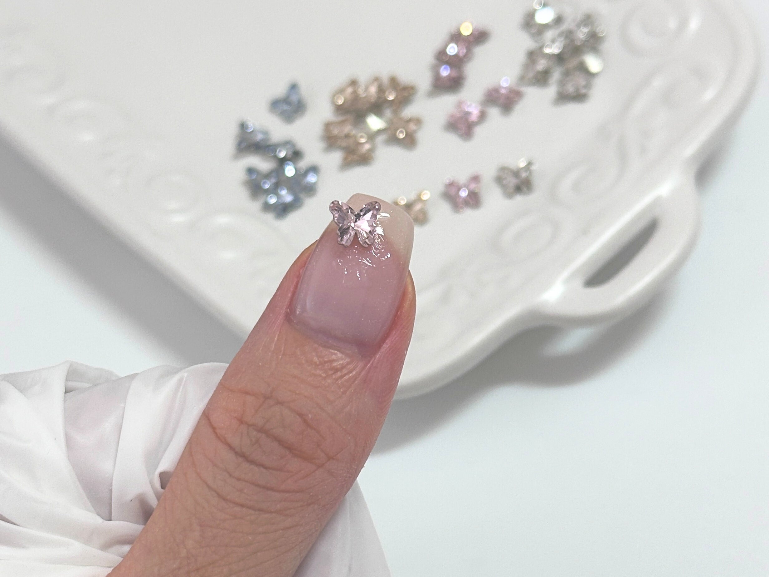 ミニスパークルパピヨン