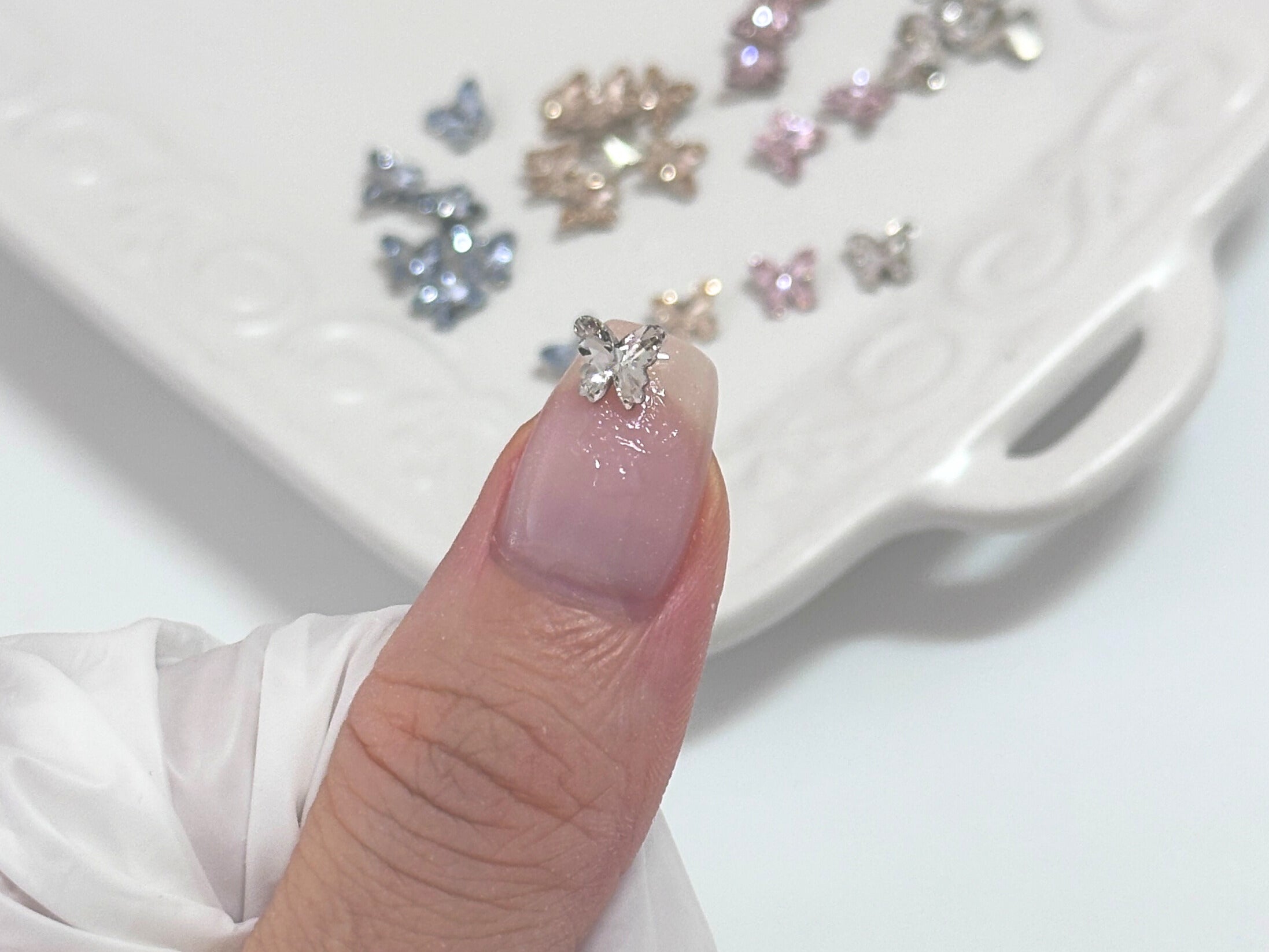 ミニスパークルパピヨン